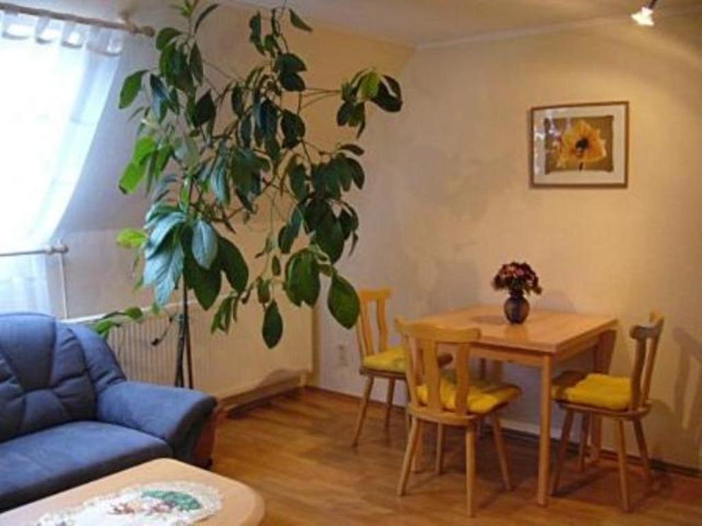 Apartamento Haus Feldmühle Bad Frankenhausen Habitación foto